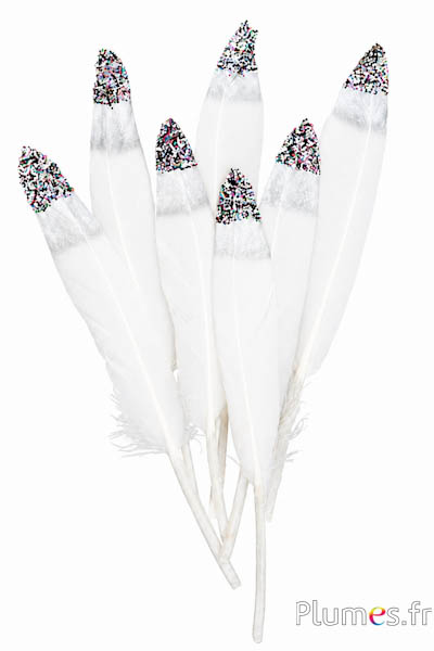 Gans Silberspitze Glitzer mehrfarbig - 12-17 cm - weiß-creme